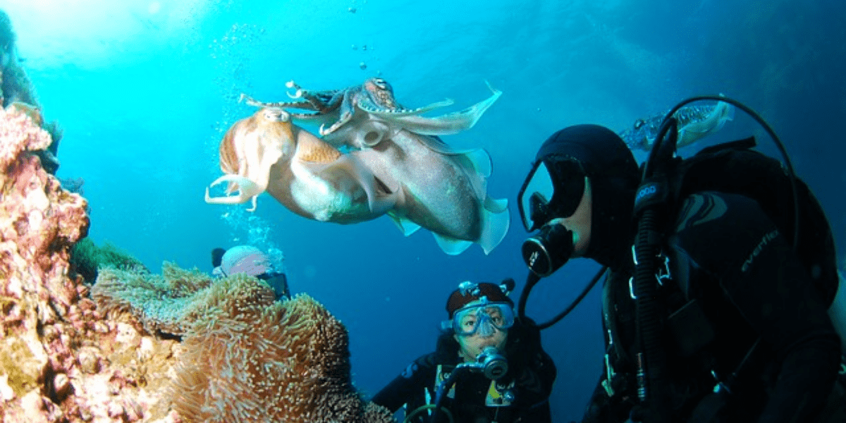 Geronigo tweet media