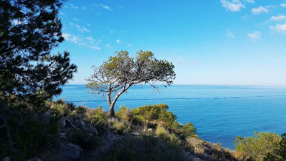 allonbay's tweet photo. Nature isn’t just a place to visit.
It’s home.🌾

Picture yourself in it.
Picture yourself in: https://t.co/ziENtJG2be https://t.co/bXiWCMFObu