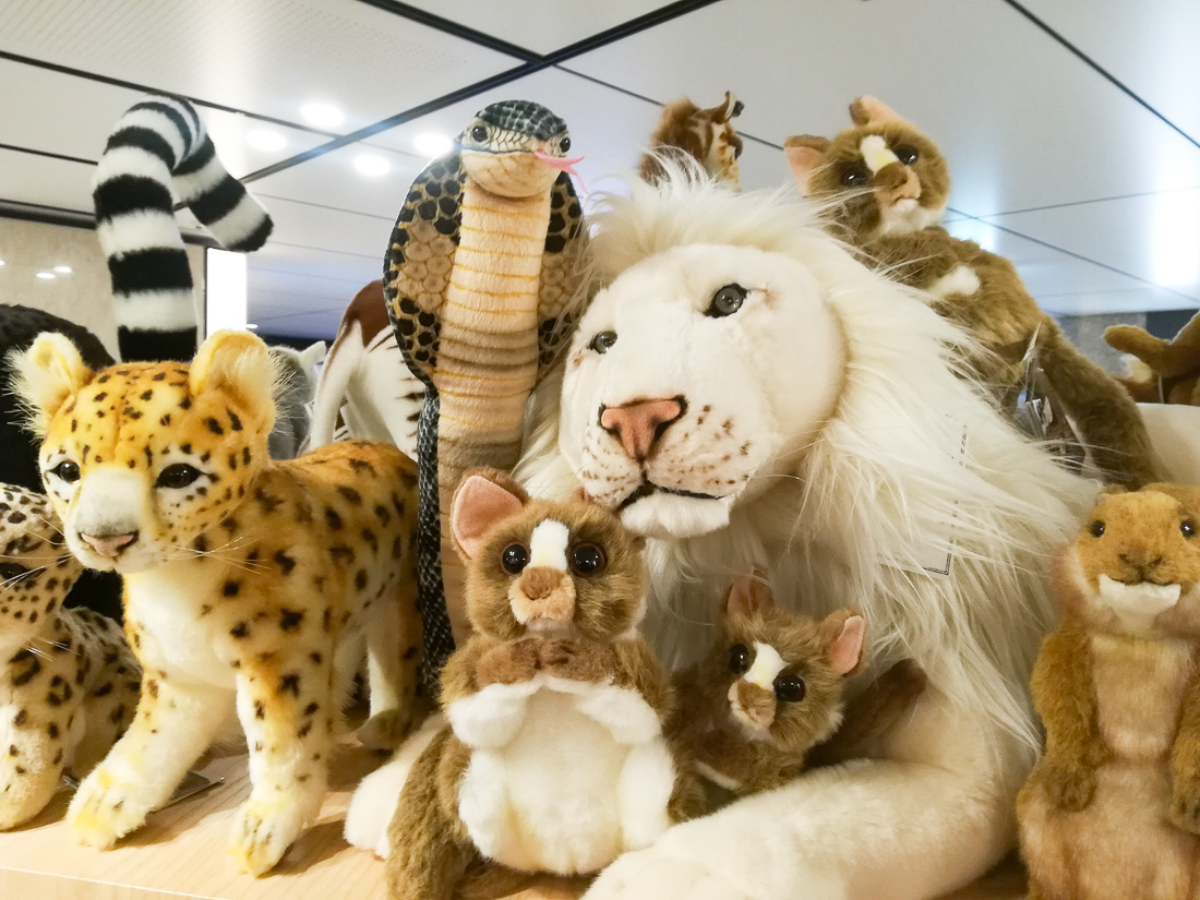 動輪の広場 Twitter Search Twitter