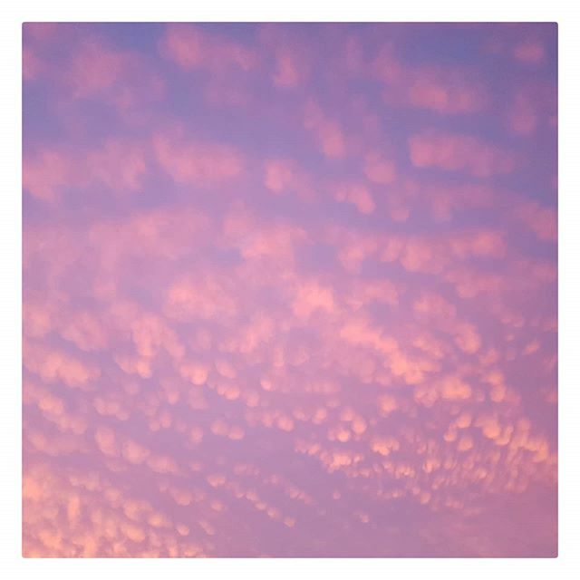 veena_sr's tweet photo. Incentive to wake up early! 🤓 #nofilter
.
.
.
#sailinglife #nature #clouds #sunrise #morningmotivation #travel #traveler #purplesky #pinksky #skyline #travelgram #instatravel https://t.co/nshfKv0DzS https://t.co/t6tS1lDMAz