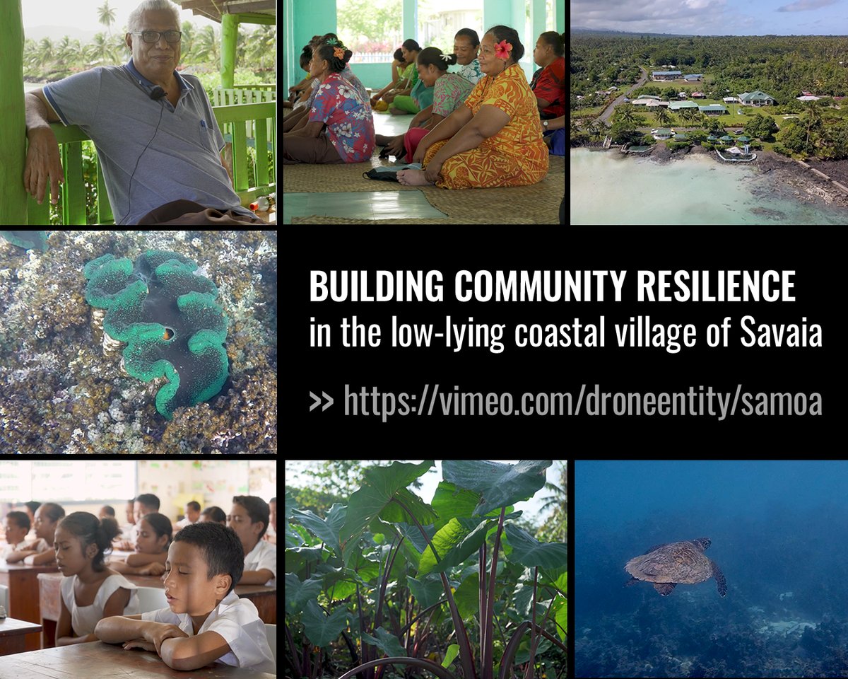 ChangeIsland's tweet photo. Our 2nd story of #islandstoriesofchange zooms in on the integrated approach, the community of #Savaia adopts combining #climate change #adaptation, #food security, long-term #education, #marine #conservation &amp; #ecotourism in #Samoa. #ConservationOptimism   https://t.co/4JxuTZ2p9s https://t.co/jDpZGAvqbt