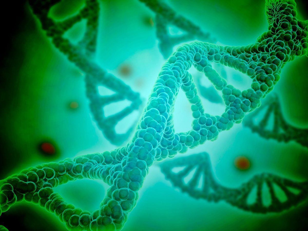 dnalysis's tweet photo. DNA is a molecule that is in almost every living thing, telling it what it should look like and how it should function. To learn more about the building block of life, go to https://t.co/sP01ccZhtQ https://t.co/LbPfslg77x