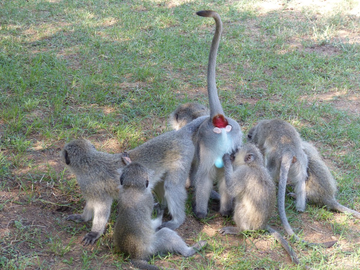 Mirjam Young tweet media