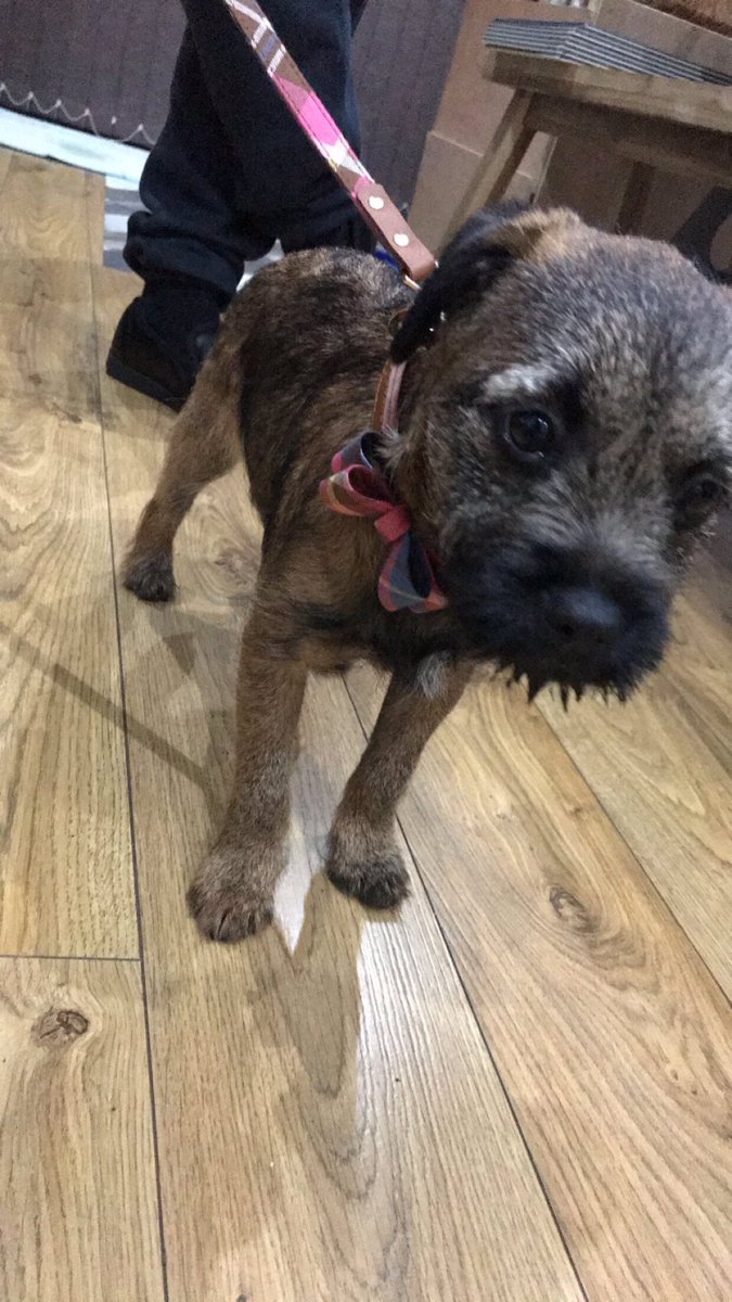 hattiebt11's tweet photo. 1 year ago, time flys when your having fun https://t.co/wp1ZonGMGw