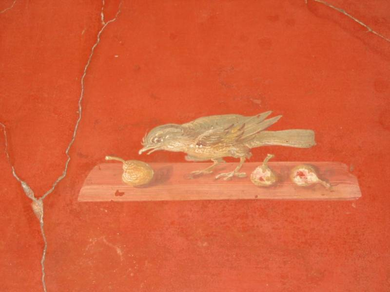 patriciacarles's tweet photo. @Amyperuana @ceconomou56 @Spiros209 @ars_omnis @AhmetDuranHergn @Maria32238606 @anthony77631293 @malemalefica @scastaldi9 @LunaLeso @javiango @MaurilioVitto @guwurzburger @albertopetro2 @semicvet50 @NadiaZanelli1 @bmarczewska @BrindusaB1 @barrywyman2356 @claudioborlotto @lagatta4739 @BPerrionni @monica74761144 @EnricoCastrovil @cecilia_fava @maluisa_3 @dianadep1 @Clanlupi @agustin_gut @1Atsuhimerose2 @JaoreroR @Papryka5 @Xv4jdAJMm8iQbQJ @henrirouen @mariaireneali @Choco_Sandy1 @GiardinoPietro @mmayr5 @twicolombotter @emanuelaneri14 @BaroneZaza70 @piotr408 @sergey_silkin @pure_p4 @smarucci461 @MargoWa21483274 💫#ArteYArt #antiquité #Villa de #Poppée à #Oplontis Détail de fresque. Mini-site #atrium #triclinium #cubiculum #oecus #diaeta #viridarium https://t.co/mlFUJpaS7a https://t.co/ihFTpJxWGq