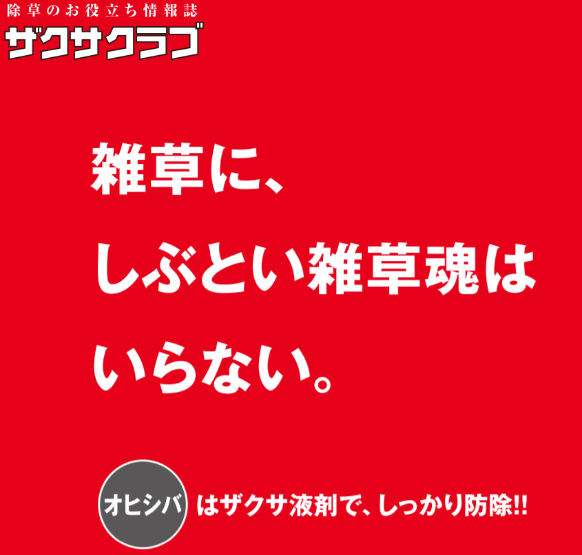 ザクサ Twitter Search Twitter