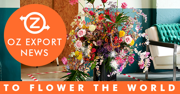 OZ Export tweet media