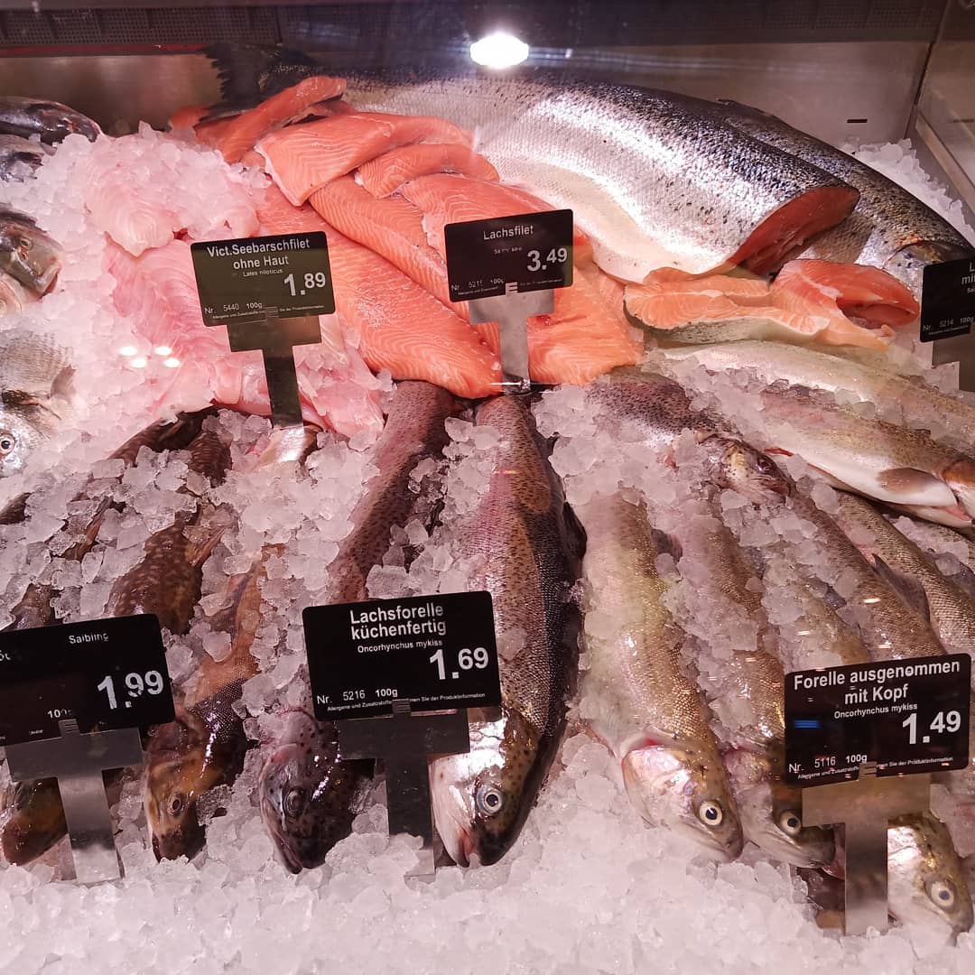 Sebasti48529536's tweet photo. Fischers Fritz fischt frische Fische 🐟 und wir verkaufen diese dann 🤗 jeden Tag frisch geliefert 🚚 und einfach lecker. 😋
Ob Hering, Lachs, Kabeljau oder einen Meeresfrüchte Salat, 🥗 bei uns finden sie garantiert etwas passendes.

#edeka #fisch #frisch #meeresfrüchte https://t.co/FuKC1W6gPk