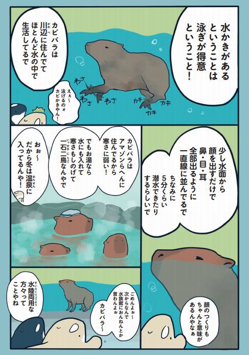 遅ればせながらネズミ年ということで「水族館が好きすぎて!」からカピバラを紹介します〜
 