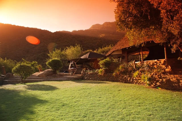 desertroselodge's tweet photo. Happy New Year from Desert Rose Kenya! - https://t.co/NGjNuQru4V https://t.co/TP3jk6JhDx