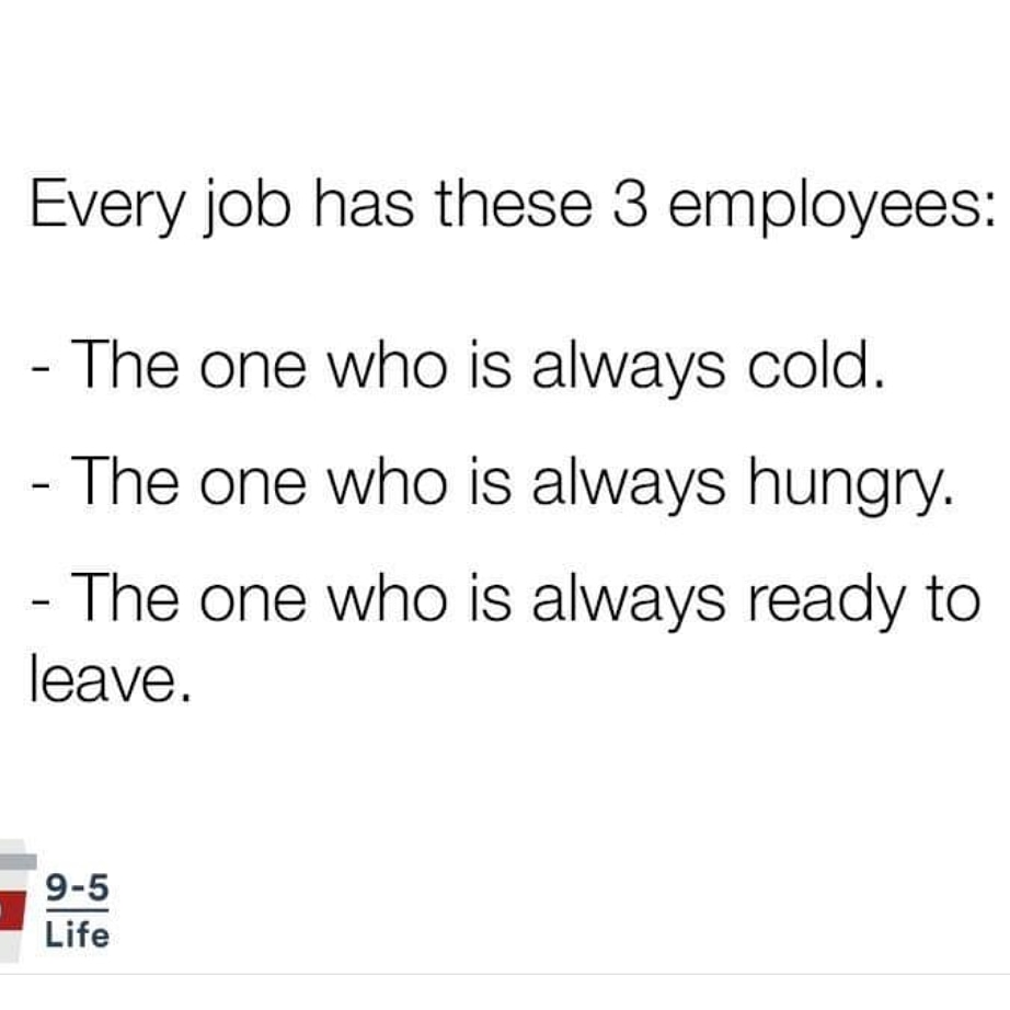 TheLilyPot_'s tweet photo. I work for myself. I have no staff but yet i can confirm this is true. #selfenployed #florist #smallbusinesswigan #wigan https://t.co/Es7vE7NSni