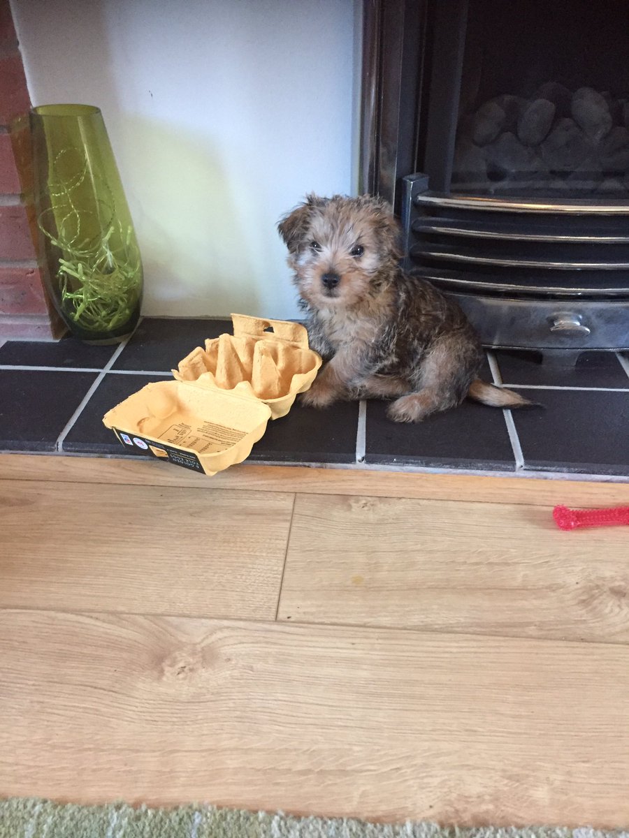 swimwithstyle_'s tweet photo. Taking our newest team member to @abbeyforegatePO to post a package today. https://t.co/reeblZEpyf