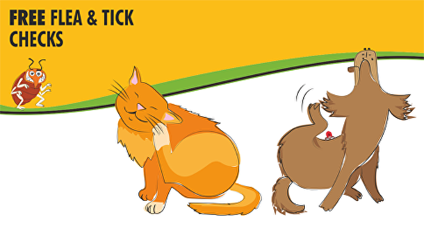 FREE flea checks <a href="/burchtreevets/">burchtreevets</a>  Pop in to chat about preventative treatment &amp; advice tailored to your #pets needs  bit.ly/2n2aG1b