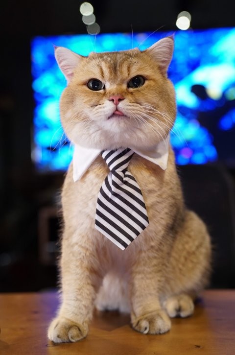 เอ็ดเวิร์ด tweet media