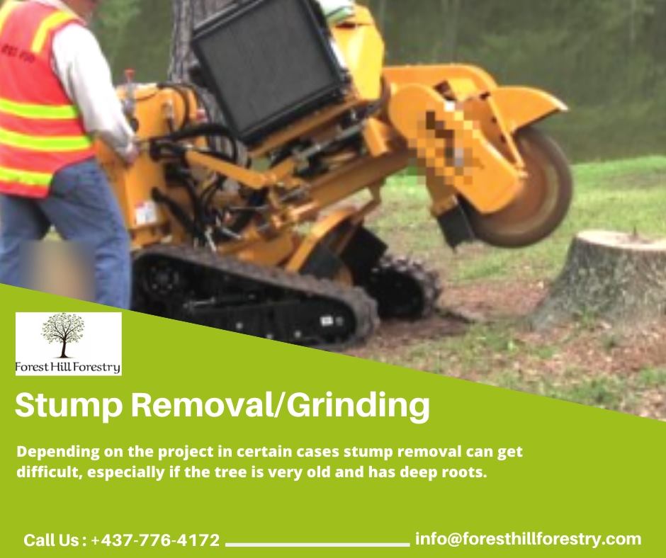 We have #provided our stump grinding #services to numerous clients who have always come back to us when in need of similar #services. Call <a href="/FHForestry/">Forest Hill Forestry</a> at +437-776-4172 now.