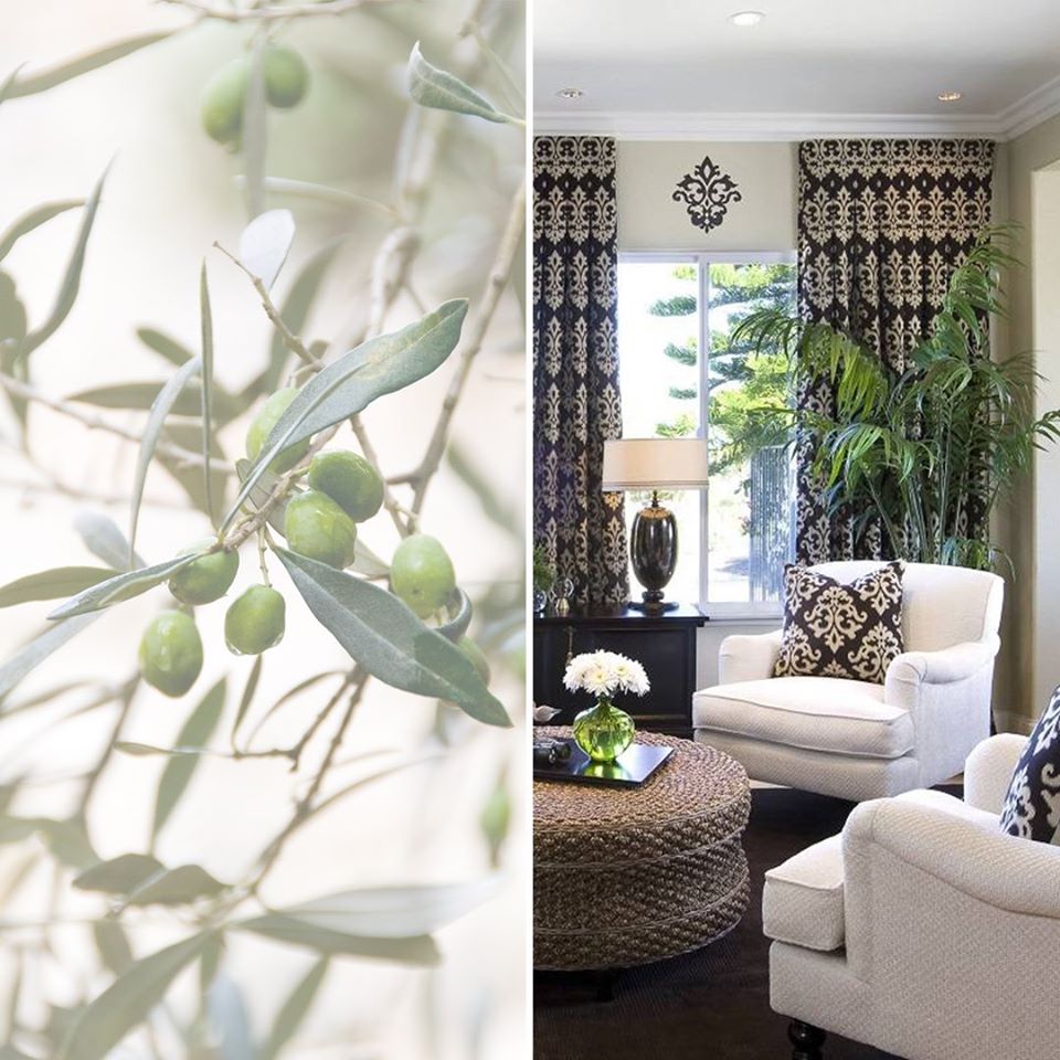mimarbook's tweet photo. Olive green is on-trend – and it appears it will be one of the topmost stylish colors for the next few years.

#Greenleaf #olive #green #colors #Trending #interiordesign #interiordecor https://t.co/I4nAHNT4eE