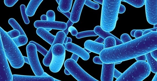 The exact cause of hidradenitis suppurativa is not known, although there are a number of theories that attempt to explain the condition. It is, however, clear that the disease is not communicable and cannot be passed between people. 
news-medical.net/health/Hidrade…