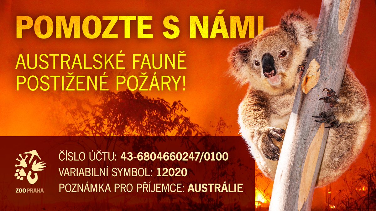 MiroslavBobek's tweet photo. Kdyby mi to někdo řekl v pondělí, asi bych se jen zasmál. Ale je to tak. Do dnešního rána se na našem účtu shromáždilo ve prospěch pomoci Austrálii již 1 573 526 Kč od 2 314 dárců!
Ano, víc než půldruhého milionu!!!
Děkujeme! A jen tak dál... https://t.co/yz07mzUi1B