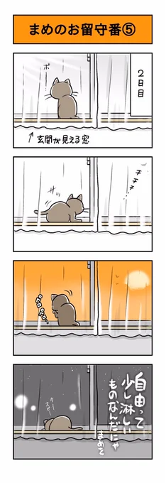 うちのネコは飼い主に優しい。「まめのお留守番⑤」その⑥に続きます。#猫漫画 #黒猫 #猫 #ネコ #保護猫 #うちのネコは飼い主に優しい 