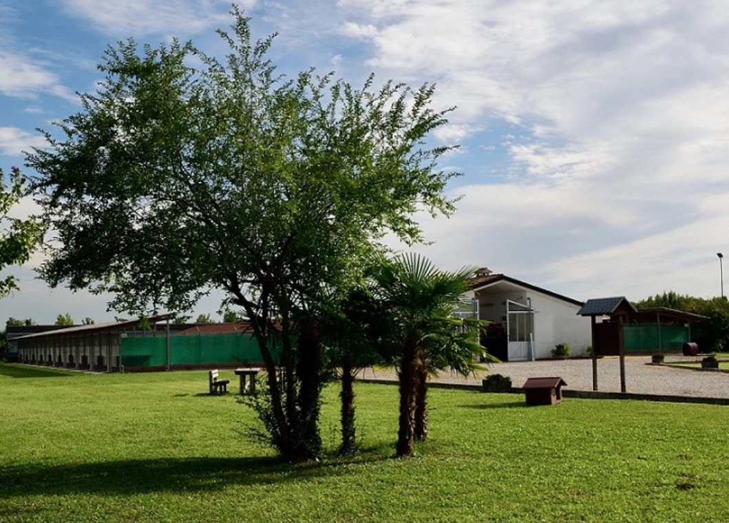 Bcc Roma At Bccroma Twitter