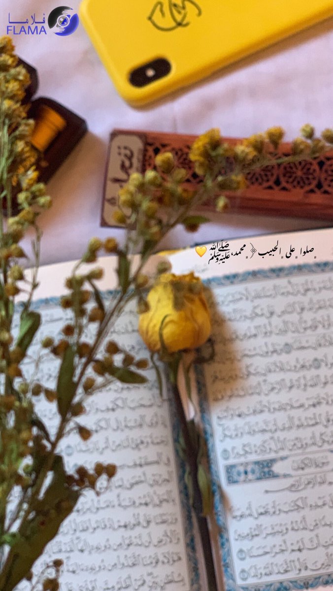 No18O_R's tweet photo. #يوم_الجمعه 

-يارب في يوم الجمعة 
سِعة صدر كسمائك كأرضِك كشيء واسع
لا يضِيق اللهّم خير الأيام وخير ما يُرضينا 💛🌿

#تصويري https://t.co/YAhUrcKQZt