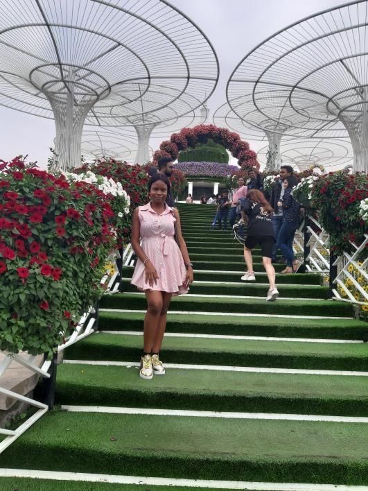 Dubai-miracle-garden 