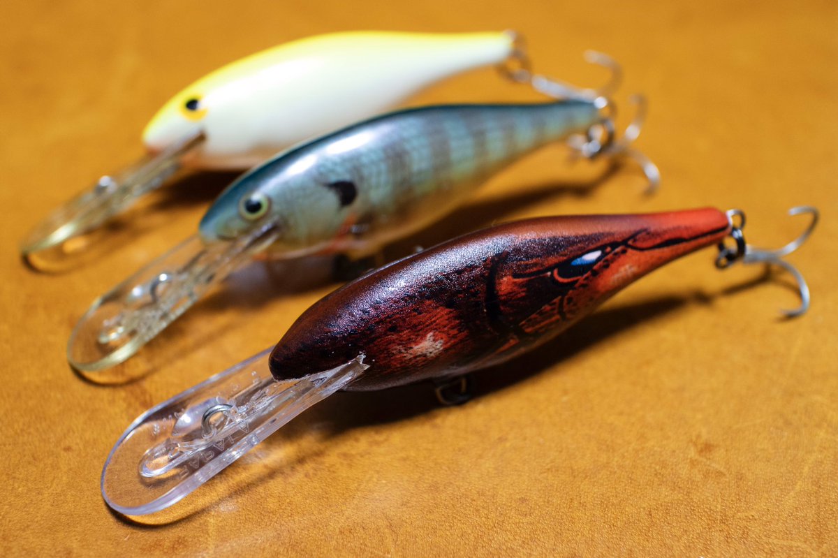 シャッドラップラパラ シャッドラップラパラ