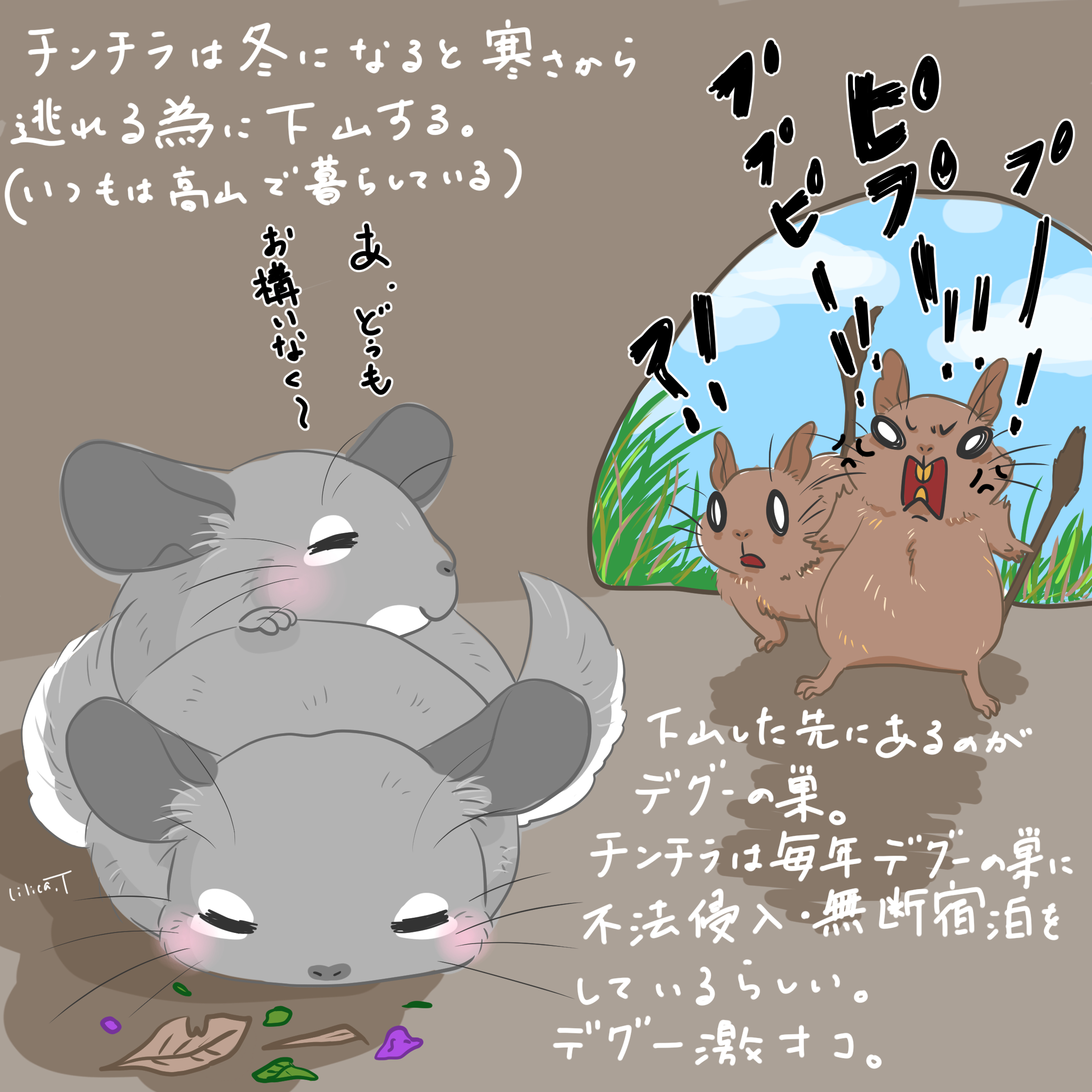 紡木リリカ でっぱ王国 野生のデグーの災難 デグーは食料を貯蓄する習性があるので 不法侵入してきたチンチラに食料を食われる未来までが想像出来て不憫 チンチラ デグー T Co Qatu5si5v5 Twitter