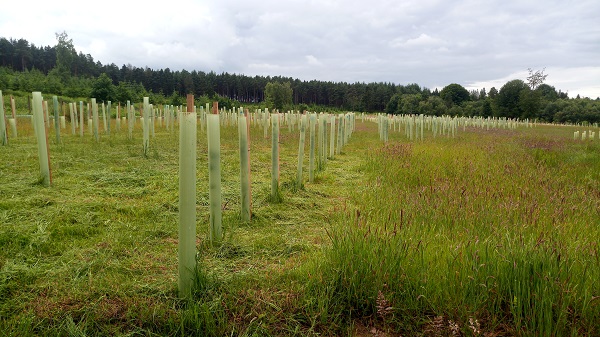 Brownandcorural's tweet photo. GUARANTEEING RURAL INCOME FROM TREES

The Woodland Carbon Guarantee is a new £50 million government scheme, launched by DEFRA in late 2019. 

Registration closes 17th Jan 2020. 

To read the full article please visit: https://t.co/60H1I322Ys https://t.co/FPIZxLAPsy