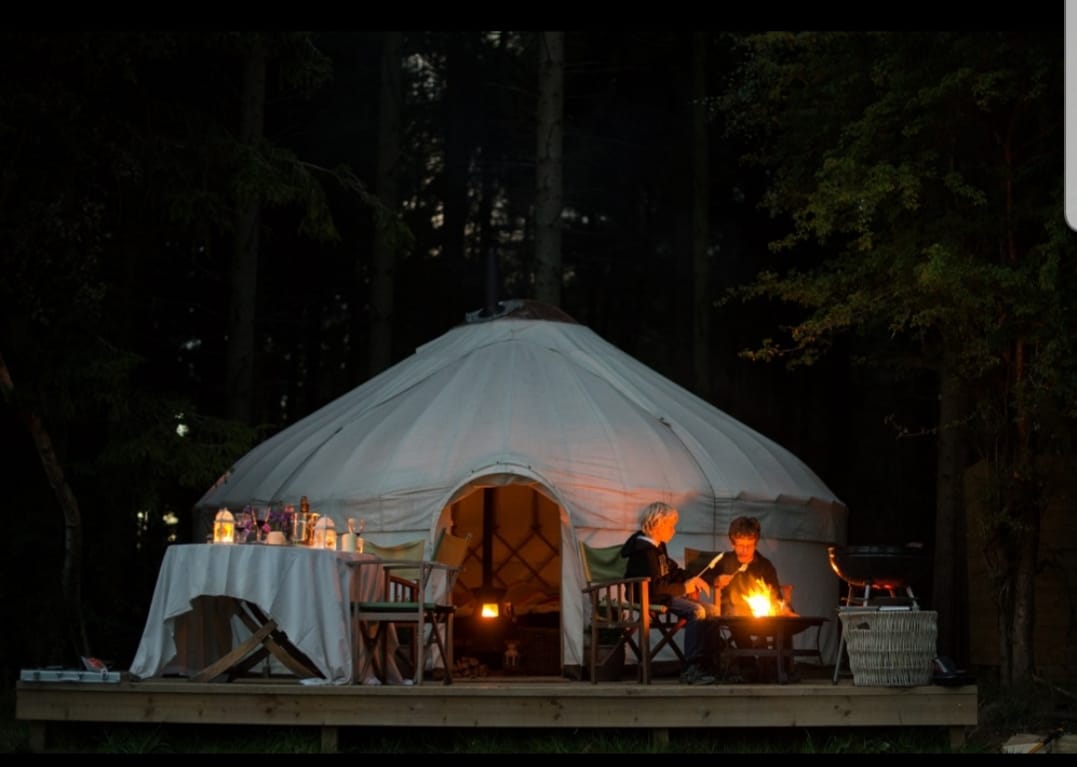 Yurtshire tweet media