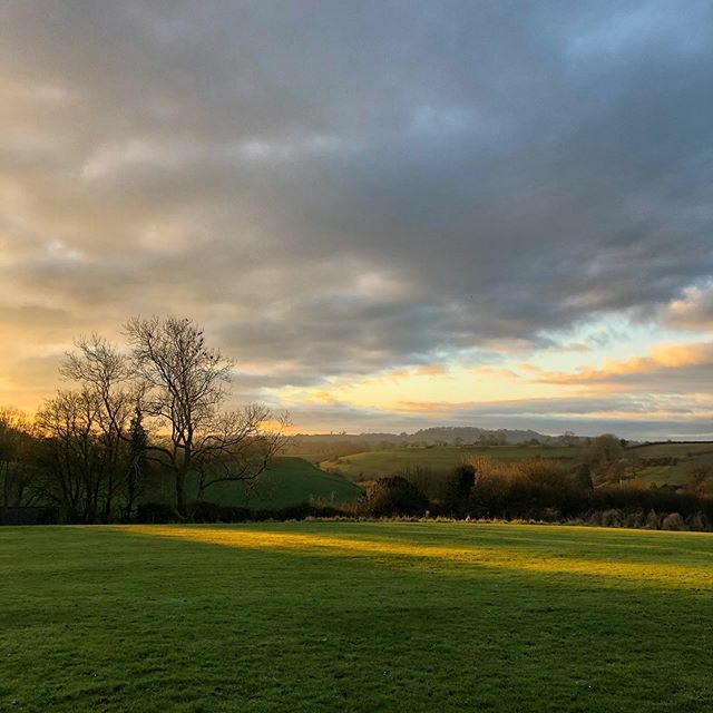 Somersalt tweet media