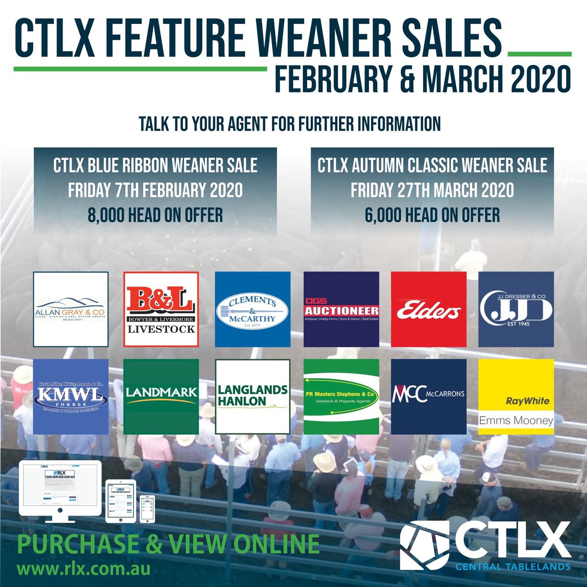 📢📢📢 This year, #CTLX will be hosting two weaner sales! Kicking off the action on Friday 7th February with 8,000 head expected! Following on in March on Friday 27th with 6,000 head expected. 

This sale is offered ONLINE 💥 click here: bit.ly/2IitFSQ