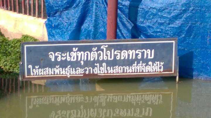 บิงสุ🍧 tweet media