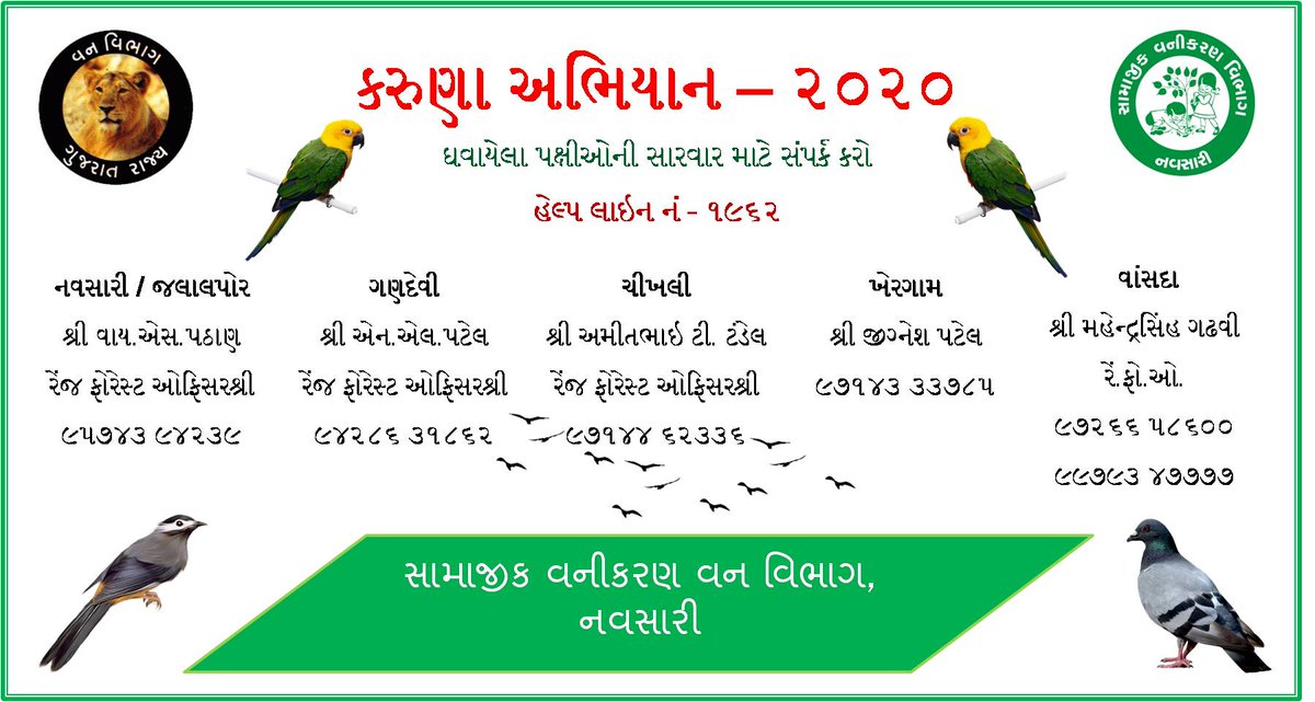 DCFNavsariSF's tweet photo. @drrajivguptaias @HoffPccf @PccfWildlife @CFBharuchSF #karunaabhiyan2020 #SaveBirds #navsarisfdivision https://t.co/z2DA1IaYzw
