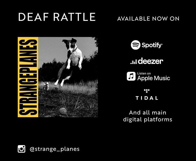STRANGE PLANES tweet media