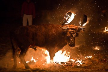 PartidoPACMA's tweet photo. Los taurinos se ponen nerviosos. Saben que su final es inminente. 

Desde que exigimos a @ahorapodemos la realización del referéndum sobre la tauromaquia que prometió dos días antes del 10N, los taurinos se sienten amenazados. 

#LaTauromaquiaNoSeToca, se acaba con ella. https://t.co/aIvoEiORgB