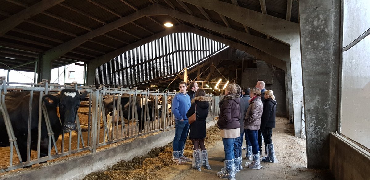 cow_coach's tweet image. Gisteren workshop robotsoftware georganiseerd ism #FullwoodPackoBelgium. Doel: delen van praktijkervaringen en nieuwe inzichten verwerven, zoals optimalisatie van inseminatieprotocollen, opsporen &amp;amp; behandelen mastitiskoeien. #robotmelken