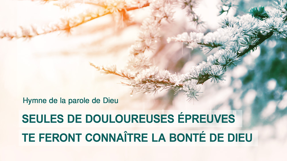 EvangiledeDieu's tweet photo. Comment dépendre de Dieu dans la crise économique familiale ? 

https://t.co/00OW9fKIjD

 #Dieu #Jésus  #prière #Louange  #gloire   #laBible #Seigneur #Dieu https://t.co/eyX23OHD1Y