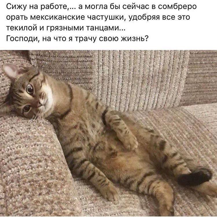 Intelligentka's tweet image. 