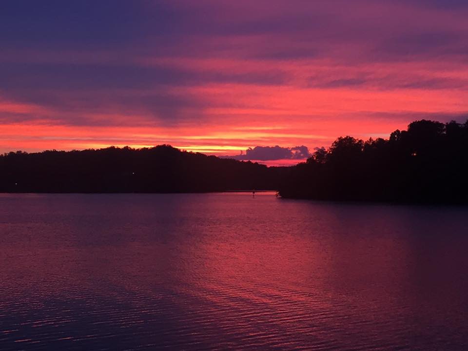 JohnnyFordReal1's tweet image. It’s time to think about your Smith Mountain Lake summer plans!! Please contact me with all of your long term, short term, or purchasing dreams for this summer! Please book now!  I can also assist you with boat and Sea Doo rentals. Please text 5409868308.