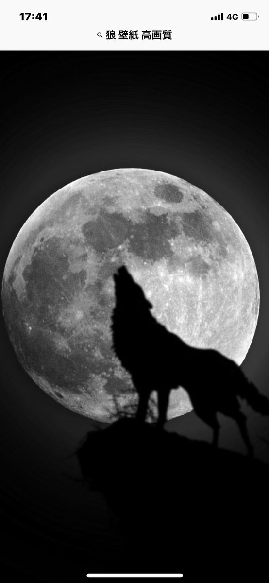 画像をダウンロード 狼 画像 高 画質 無料の公開画像