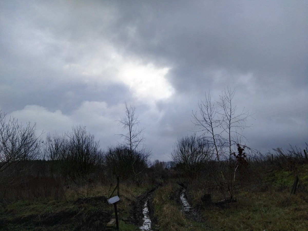 Patrick_Brebels's tweet photo. #vrtweer #Reppel #11u45 https://t.co/aESvS3DOCT