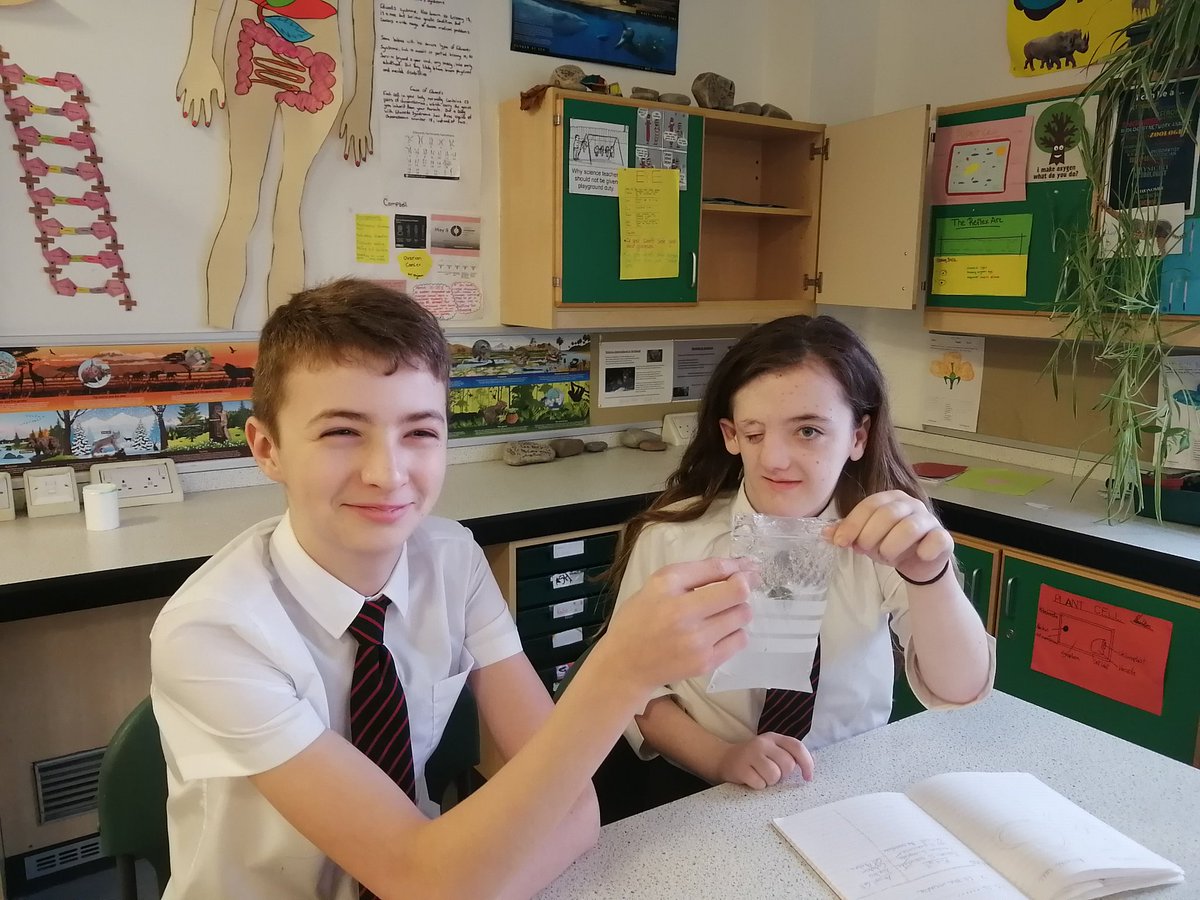 LochaberHSBio's tweet photo. 1st year Science have been making model cells with wallpaper paste and props found around the classroom. #supercells #modelcells #wallpaperpasteismessy #science https://t.co/I3kzqlq16W