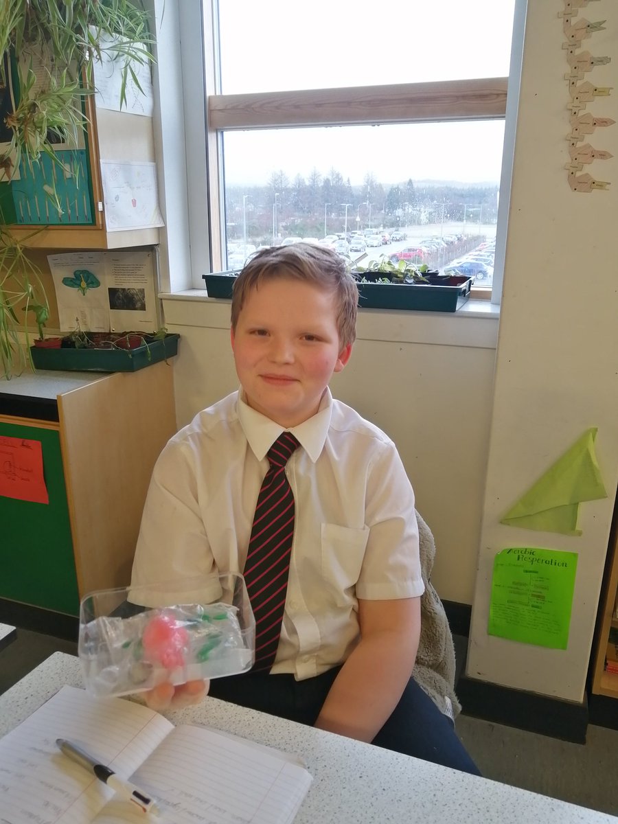 LochaberHSBio's tweet photo. 1st year Science have been making model cells with wallpaper paste and props found around the classroom. #supercells #modelcells #wallpaperpasteismessy #science https://t.co/I3kzqlq16W