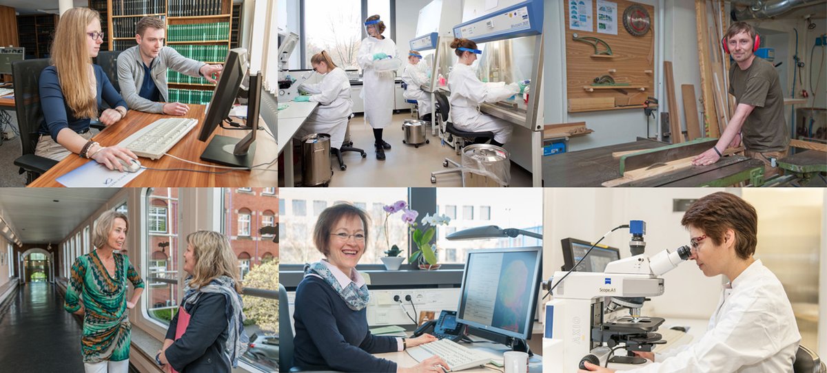 rki_de's tweet image. Mithelfen, die Gesundheit der Bevölkerung zu schützen - RKI sucht neue Mitarbeiter (m/w/d)

Leitung des Fachgebietes "Tierhaltung"
Leitung der Stabsstelle „Grundsatz und Recht“
Systemadministratoren
#unbefristet

Alle #Stellenangebote: rki.de/stellenangebote

#Jobs #PublicHealth