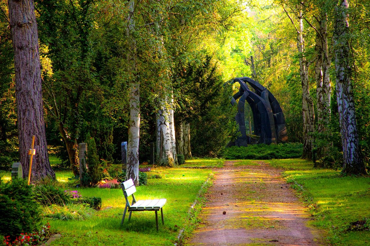prithvilandpro's tweet photo. #nature #naplots #beauty #Breaktheroutine #Prithvilandproject https://t.co/LHa30IT5J0