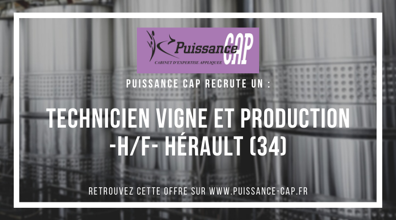 PuissanceCap_RH's tweet photo. Nous recrutons un Technicien Vigne et Production (H/F) en CDI basé dans l'Hérault (34). #Emploi #vigne #production Plus d'infos : https://t.co/gNqLa9E6tf https://t.co/yqeoSooWq7