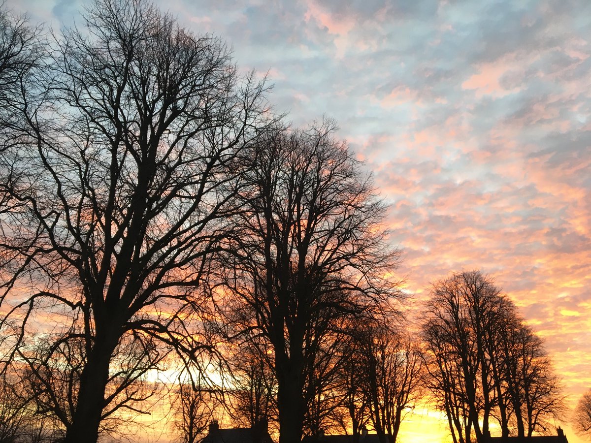 anniean39693586's tweet image. #PinkSunrise 💗