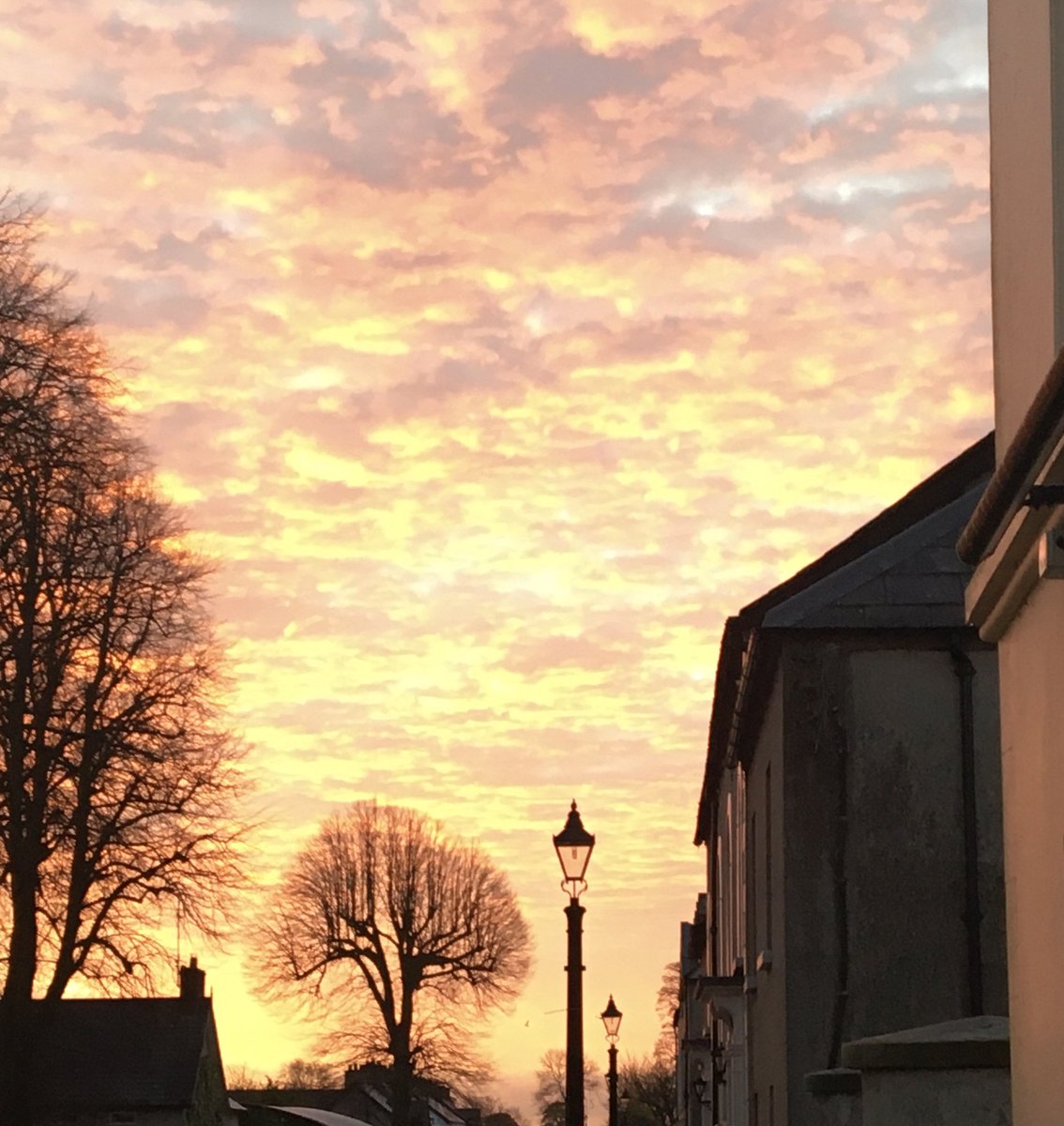 anniean39693586's tweet image. #PinkSunrise 💗