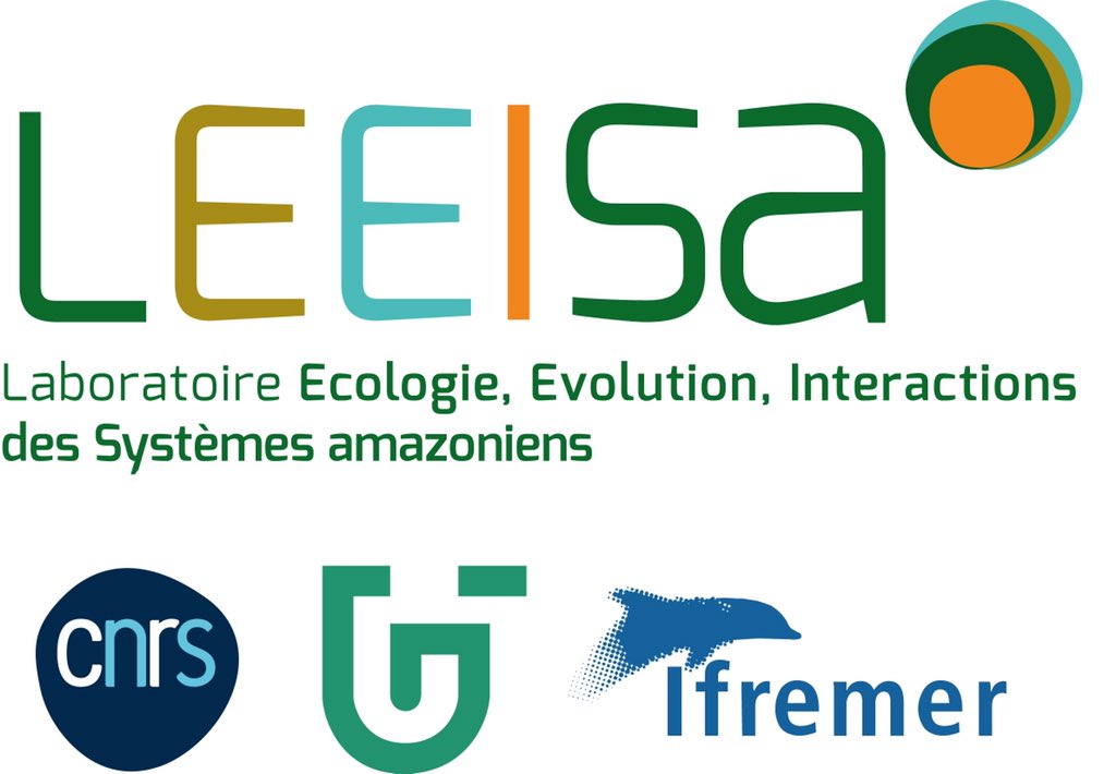 GaelleFornet's tweet photo. Hier pm rencontre entre les personnels #EcoFoG et #LEEISA @INEE_CNRS @univguyane au carbet de @PasteurGuyane pour parler organisation stratégique à l’approche de la vague d’évaluation @Hceres_ en 2020 https://t.co/MIbo0g0NFG